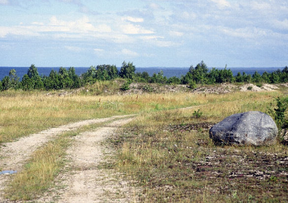 muhu3