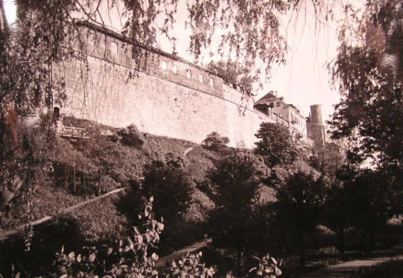 Fragment murów obronnych