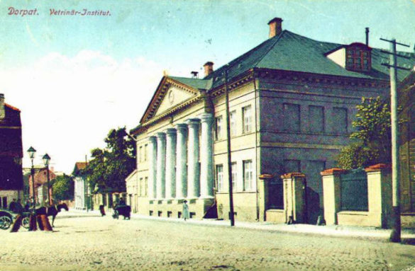 Instytut Weterynarii
