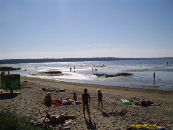 Tallinn – plaża Zdjęcia z Estonii